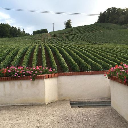 La Loge Du Vigneron Villa Vauciennes  Eksteriør bilde