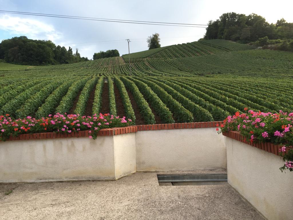 La Loge Du Vigneron Villa Vauciennes  Eksteriør bilde