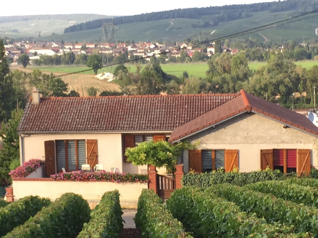 La Loge Du Vigneron Villa Vauciennes  Eksteriør bilde
